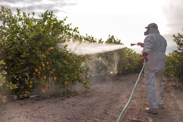 Best Pest Prevention Services  in Wabash, IN