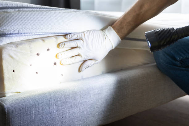 Best Cockroach Control Services  in Wabash, IN