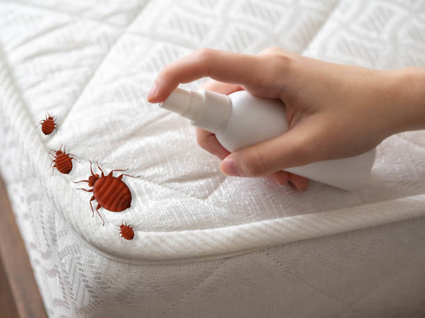 Best Pest Inspection Near Me  in Wabash, IN